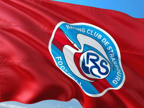 aoa体育体育官方登录入口-帕尔梅拉斯核心球员体能管理，世俱杯冲刺关键因素