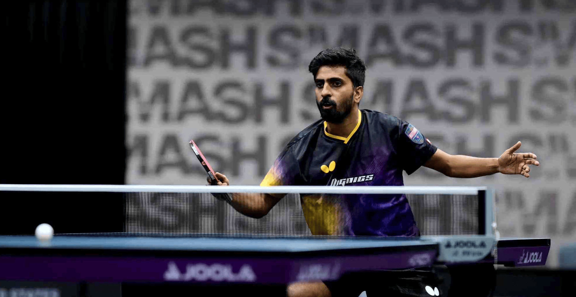 新星崭露头角,表现超预期 新星崭露头角,表现超预期